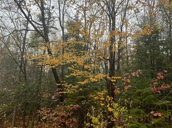 32582 Lake Caroline Rd, Mellen, WI 54546