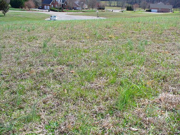 5th image of 3206 Bakertown Ct