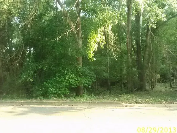 0 Thomas Rd, Lumpkin, GA 31815