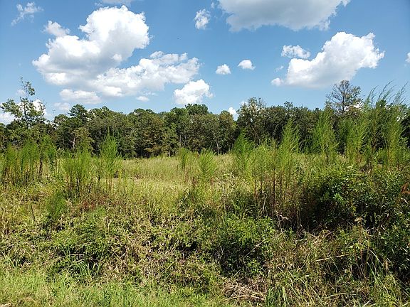 5th image of 655 Kenneth Carrell Rd