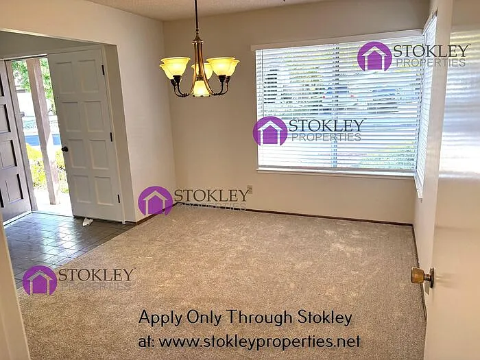 1257 Cougar Ln — Photo 4