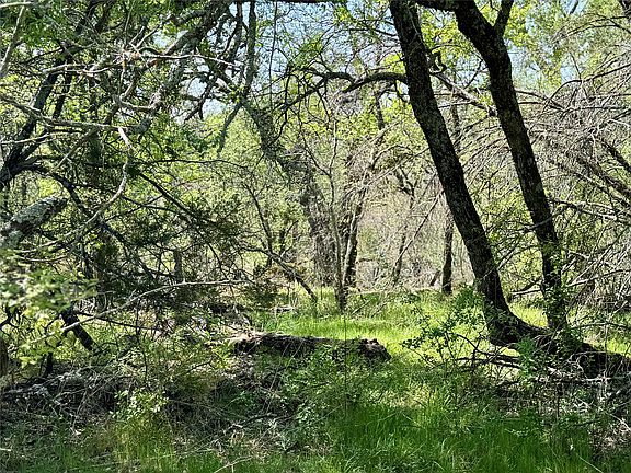 4th image of 1885 Fm