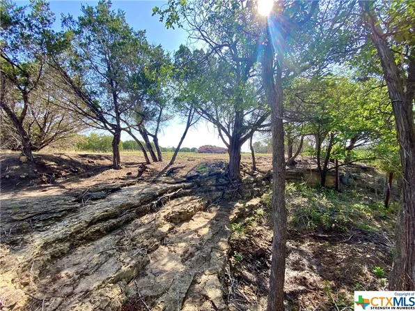 TRACT 4B County Road 326, Bertram, TX 78605