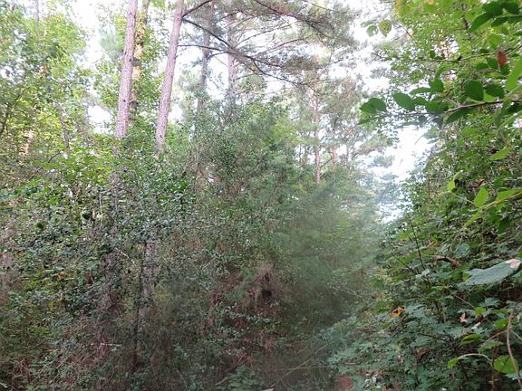 4th image of 180 County Road 2901