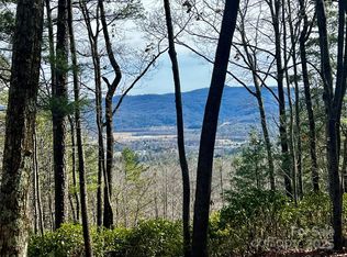 Camp 2 Long Ridge Rd, Brevard, NC 28712