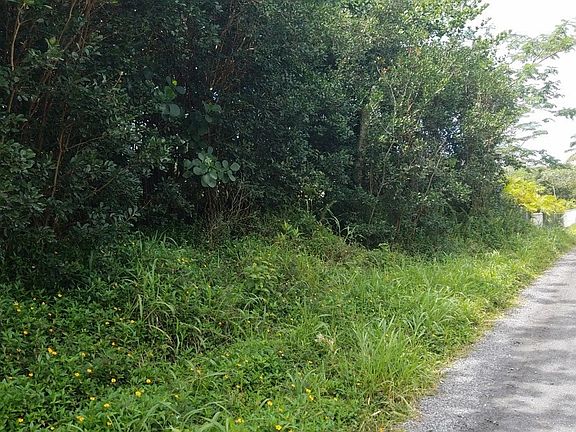 3rd image of 33rd Avenue Uluhe Lot 13