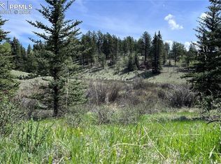 79 Trout Creek Cir, Divide, CO 80814