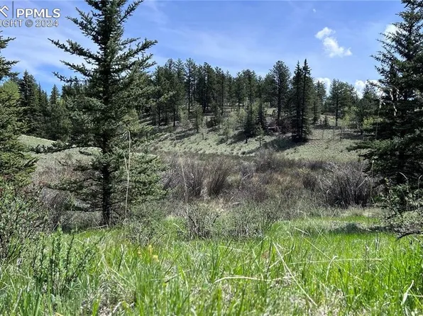 79 Trout Creek Cir, Divide, CO 80814