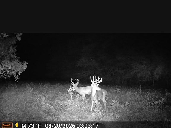 5th image of 71-3 Lick Creek Rd