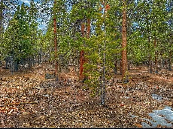 3rd image of 66 Mount Massive Road