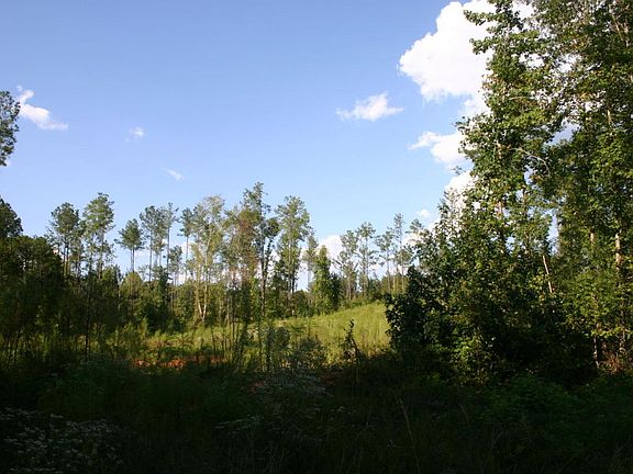5th image of Robinson Rd #3