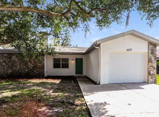 11337 Blackbark Dr, Riverview, FL 33579