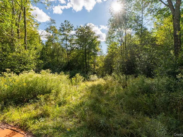 Maccabee Road, Roscoe, NY