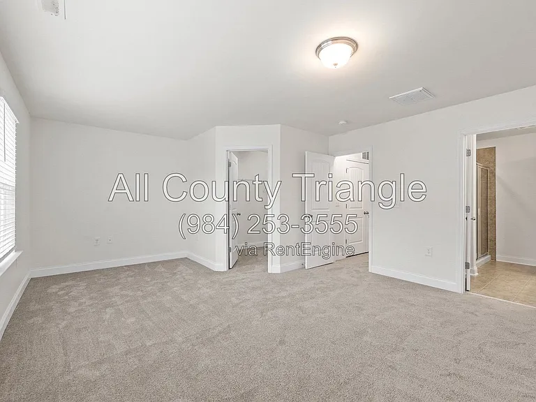 1005 Amber Shadow Dr — Photo 28