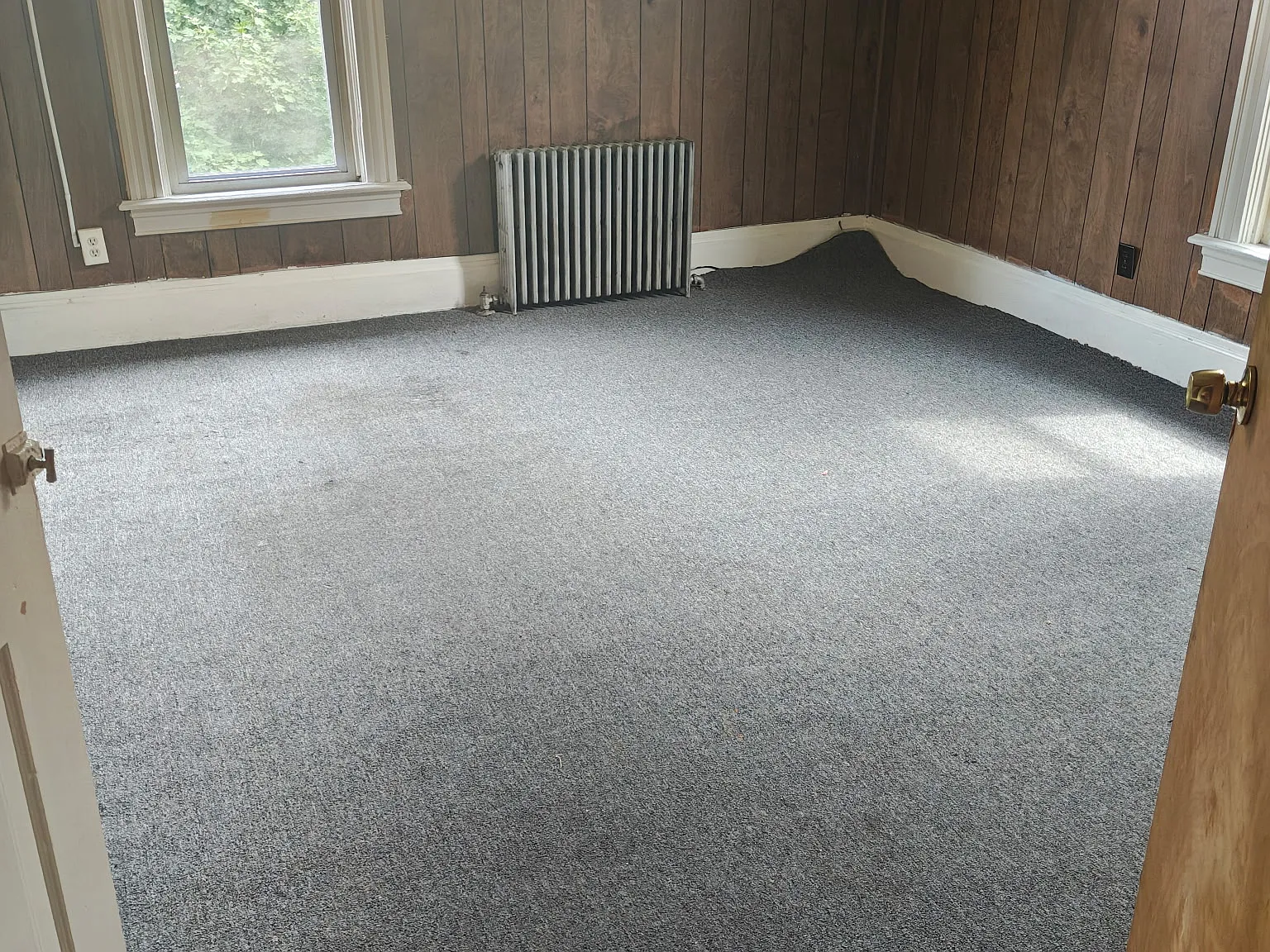 1 bed, $725 — Photo 4