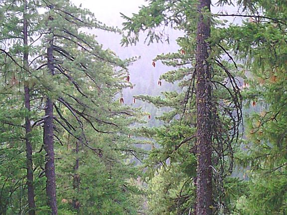 4th image of Xox Ditch Creek Rd