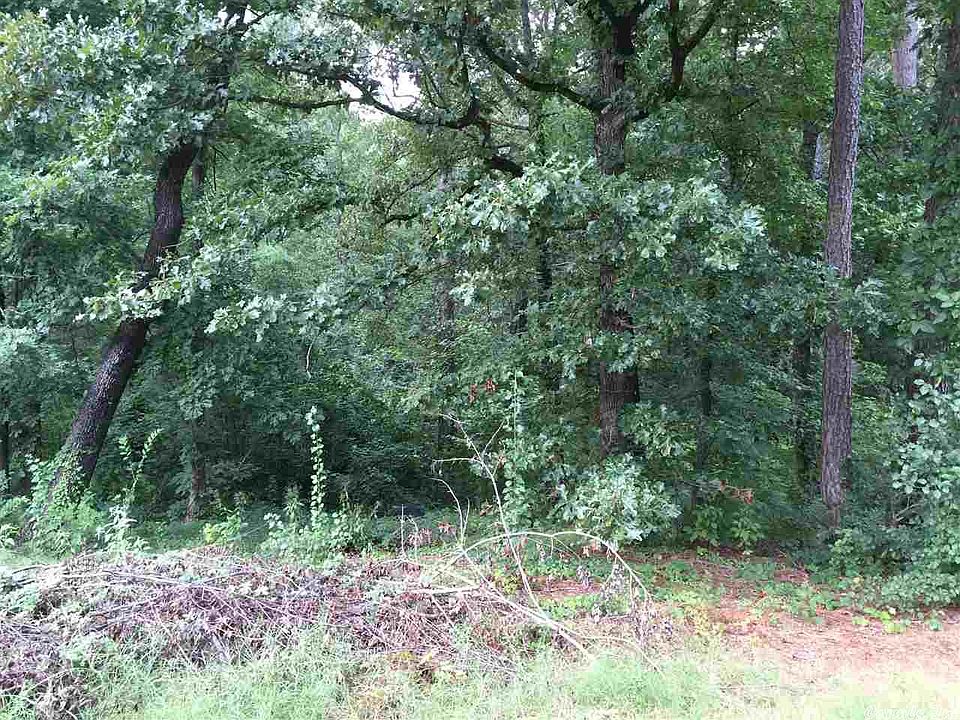 1st image of LOT 124 Cherry Xing