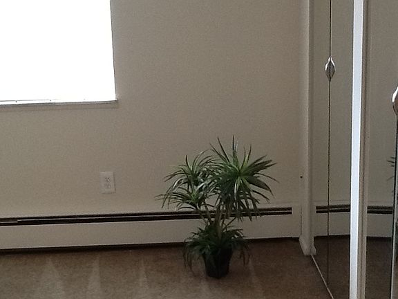 4th image of 210 Mulberry St APT 12