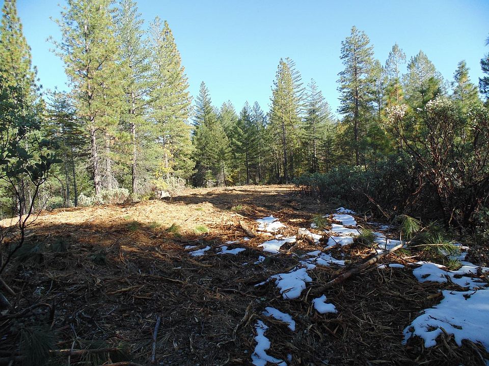 1st image of Acres 40 Ringtail Rd