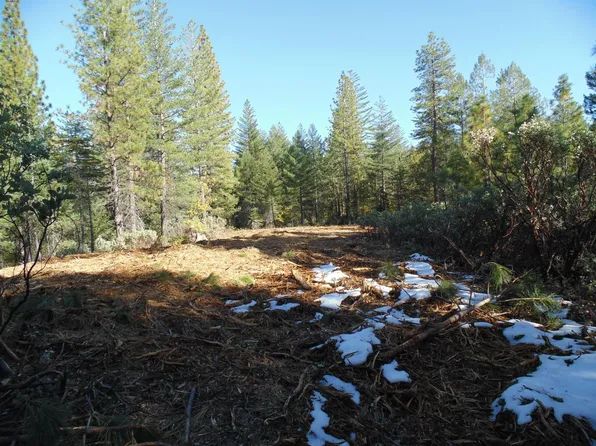 Acres 40 Ringtail Rd, Georgetown, CA 95634