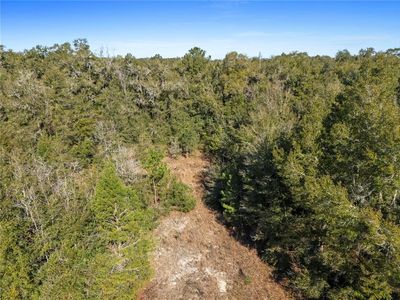 0 NW 29th Ter, Reddick, FL, 32686