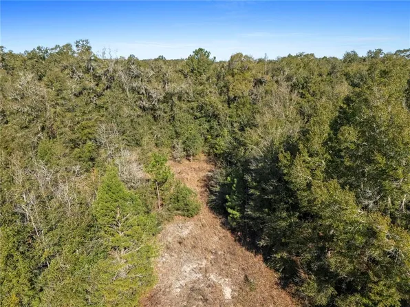 0 NW 29th Ter, Reddick, FL 32686