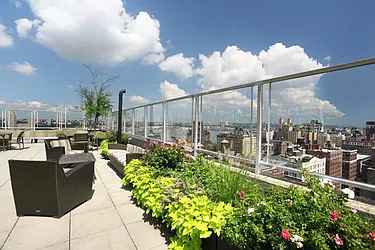 Rented by Manhattan Skyline