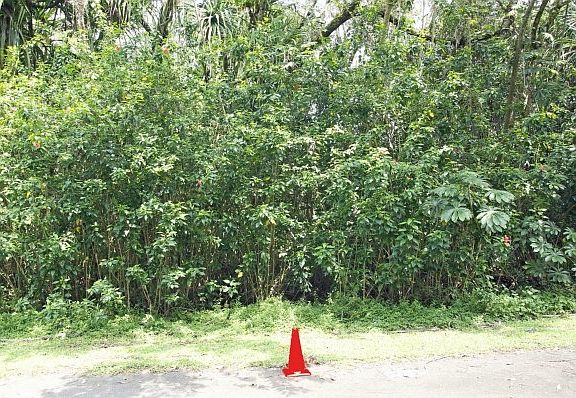 5th image of Nenue St Lot 1364