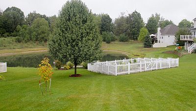 1st image of 1379 Auburn Woods Trl