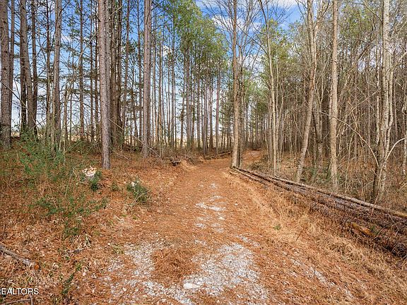 2nd image of 185 Mount Vernal Rd