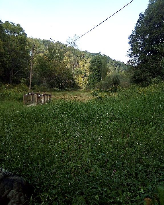 2nd image of 827 W Spurgeon Rd