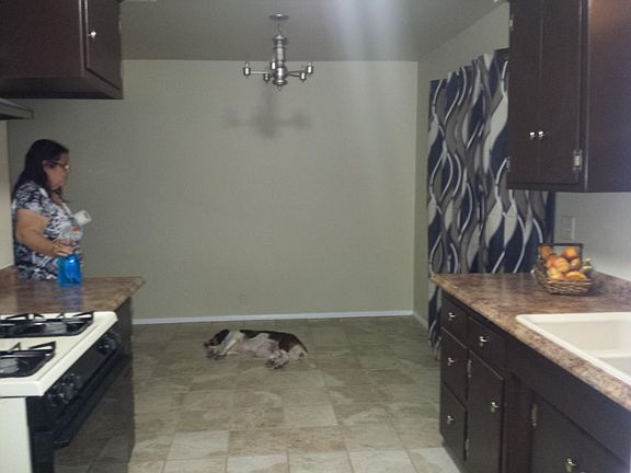 Dining room, slider to back yard