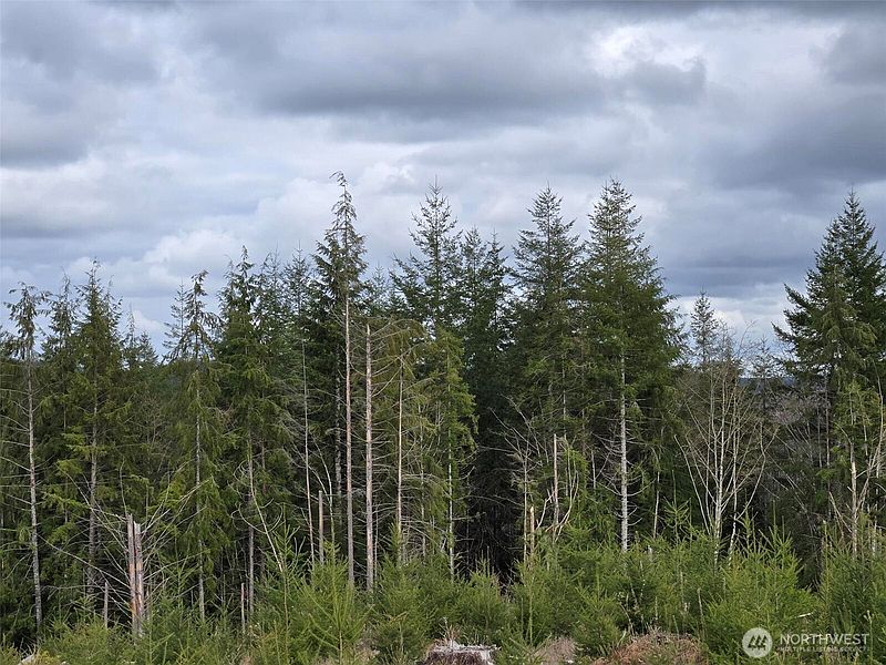 4th image of 0 Off of Hoquiam Wishkah Road