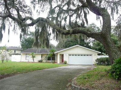 1309 Rustling Oaks Dr, Brandon, FL, 33510