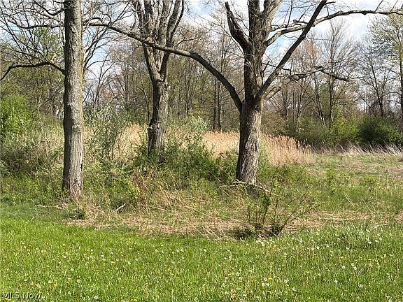4th image of Kibler Rd