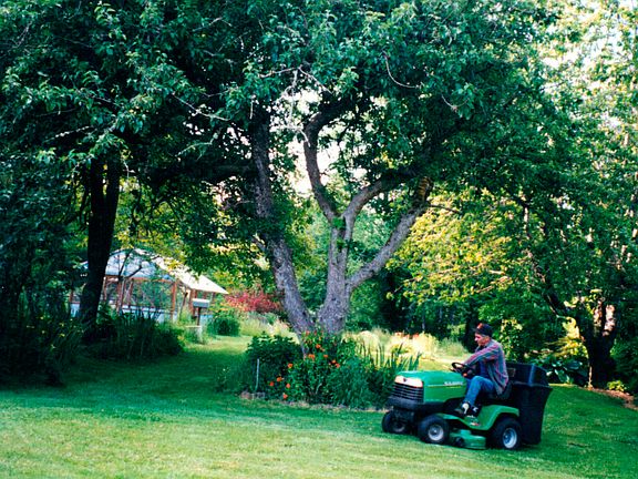 Mowing the back 40