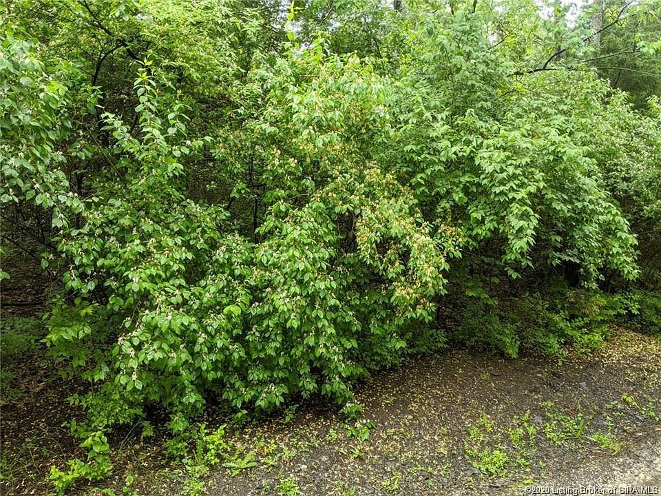 1st image of Saddleback Dr