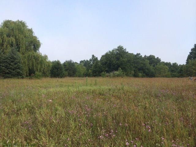 1st image of Bink Woods Dr