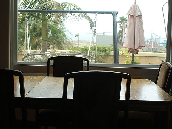 View from dining room table