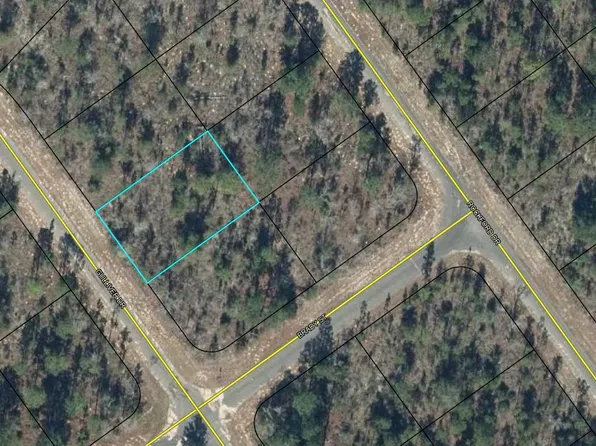 LOT 12 Gulliver Dr, Chipley, FL 32428