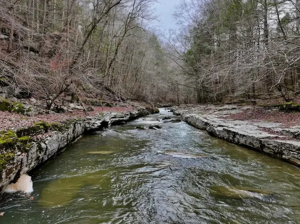 0 Hollow Creek Ln, Clarkrange, TN 38553