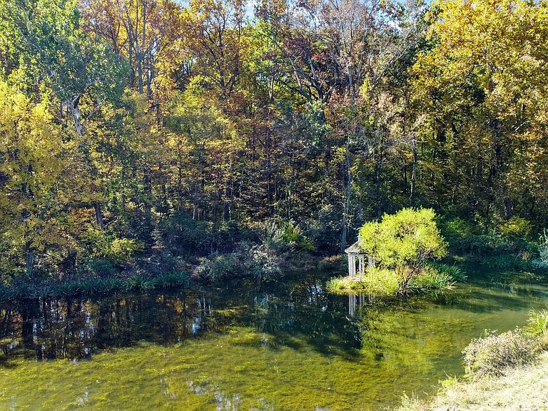16131 Old York Rd — Photo 9