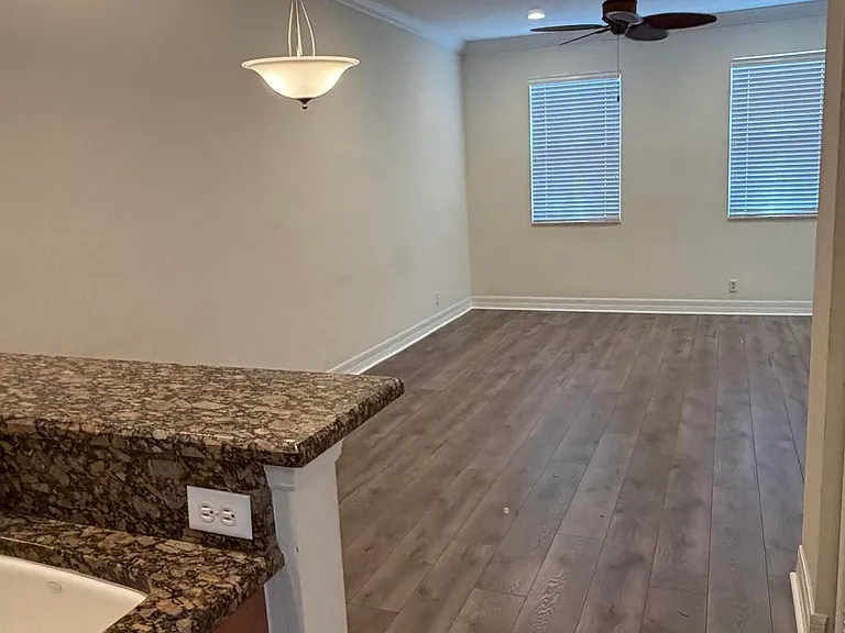 241 E Thatch Palm Cir — Photo 10