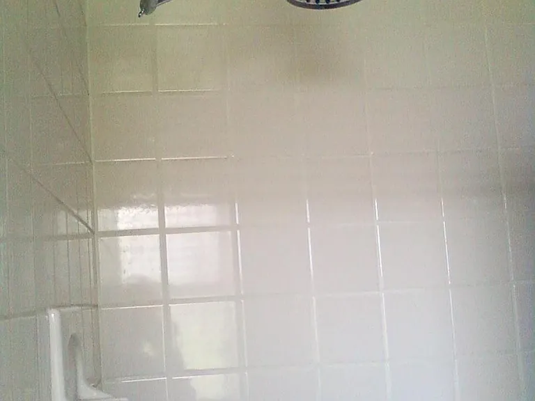 master bath stall shower