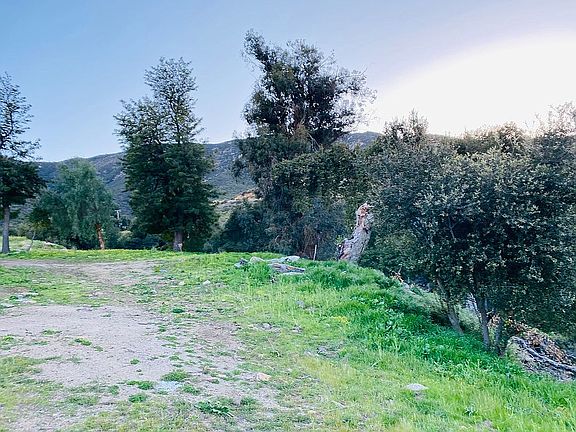 2nd image of Naranjo Dr