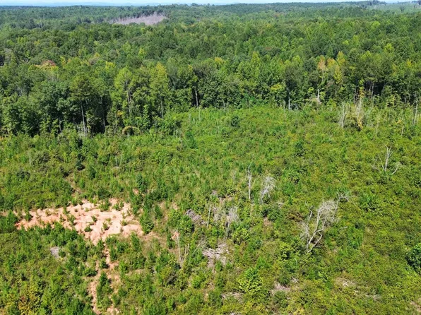 0 Big Woods Rd #0, Alexander City, AL 35010