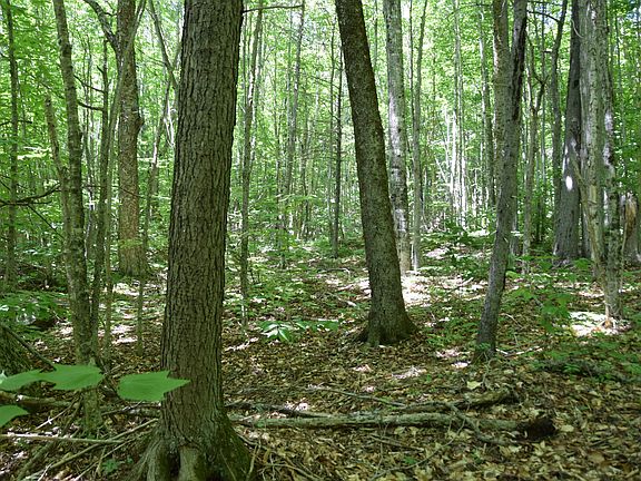 3rd image of MSO3 L16 Flow Road