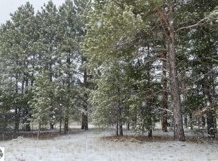 4 Spruce Hollow Trce, Fife Lake, MI 49633