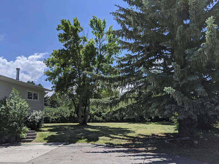 3302 Wagon Wheel Rd — Photo 14