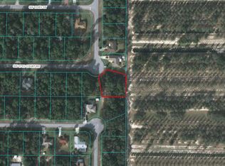 00 SW 27th Ct Rd, Ocala, FL 34473